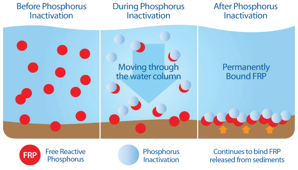 EutroSORB technology will be utilized to permanently bind excess phosphorus in high-nutrient areas of the lake